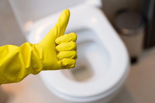 clean toilet